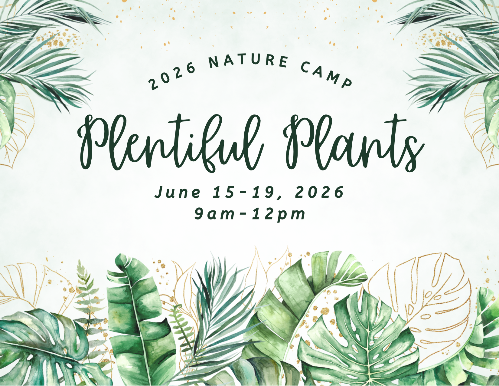 nature camp plentiful plants